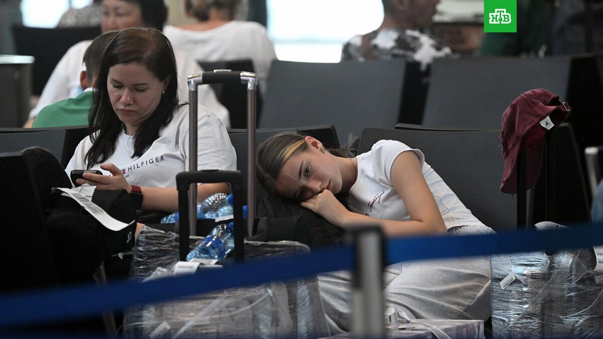    Фото: РИА Новости © 2025, Кирилл Каллиников