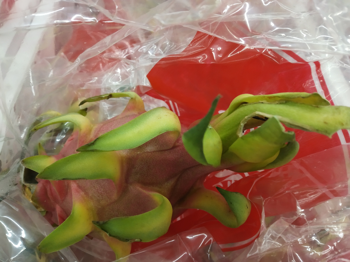 Фото автора публикации