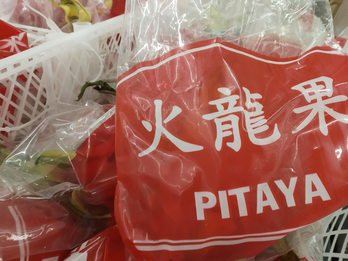 Фото автора публикации