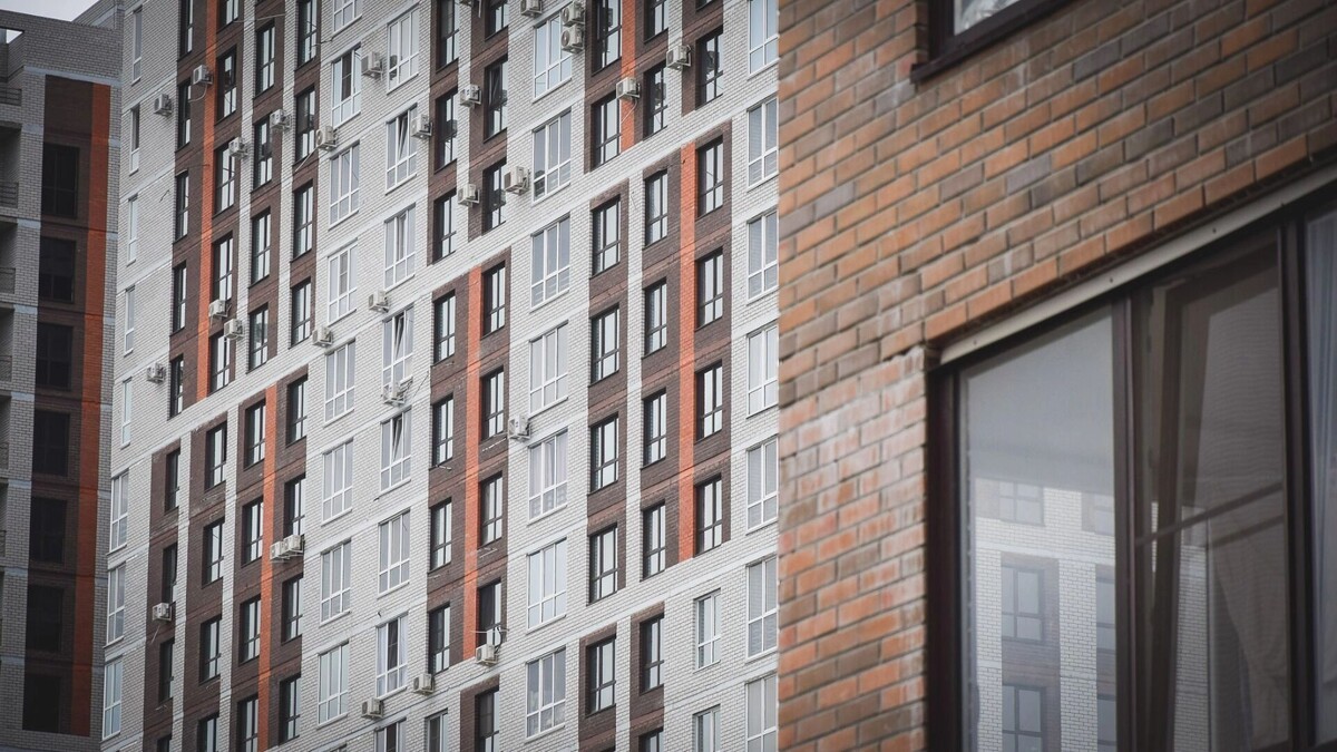 Чаще всего злоумышленники «разводят» знаменитостей на деньги, но некоторые лишились и объектов недвижимости. Фото: Антон Засимов, 1MI