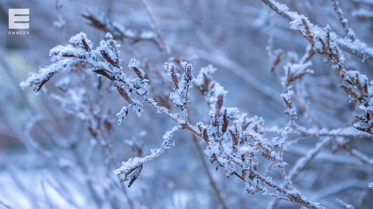     Мороз до -26 градусов обещают красноярцам в ближайшие выходные