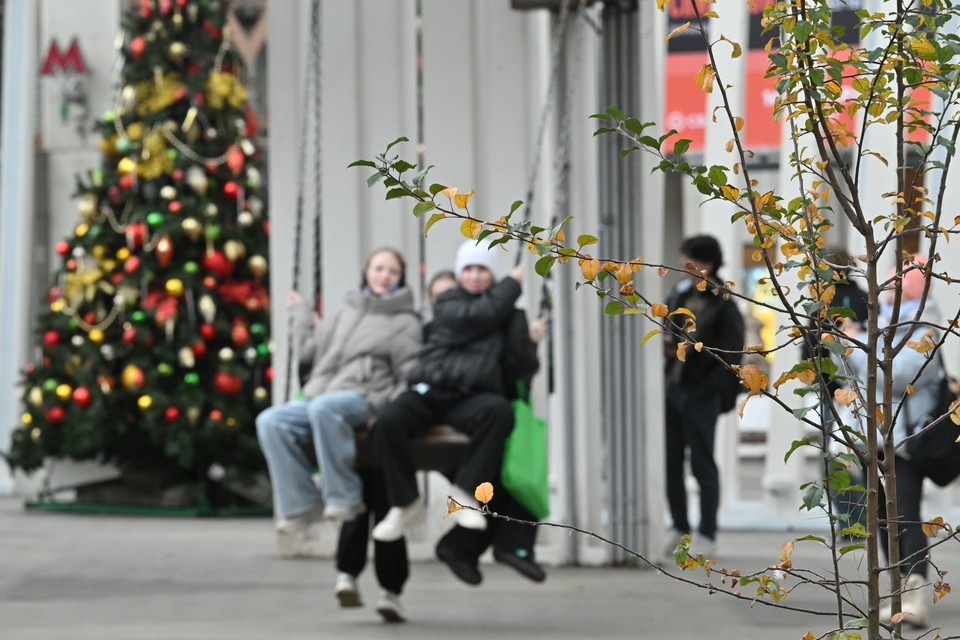    Остается чуть больше месяца до Нового года, а снега так и нет Евгения ГУСЕВА