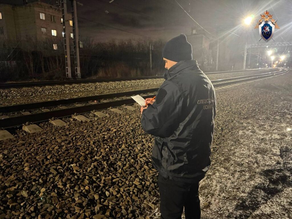    Фото: Центральное МСУТ СКР / ТГ Полина Анкушина