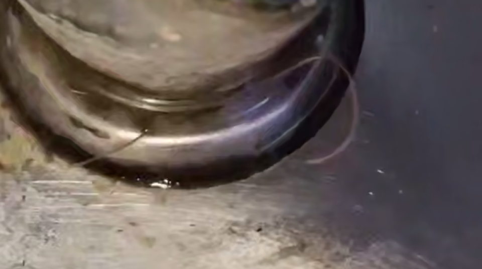    Червяк в фонтанчике. Источник: Telegram-канал Екатерины Мизулиной