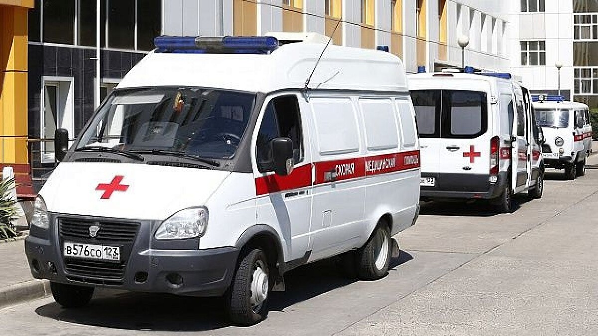    Фото: телеканал «Краснодар»