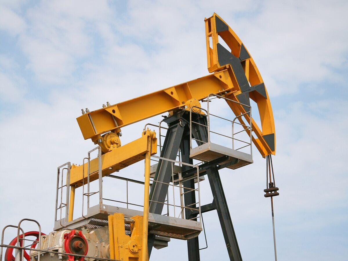    Штанговый насос на нефтяной скважине. Архивное фото© РИА Новости / РИА Новости