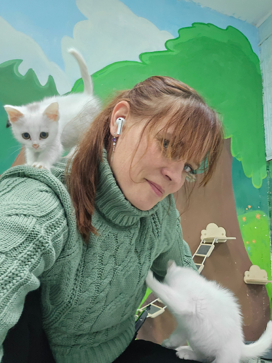 котенок на плече исследует новые высоты