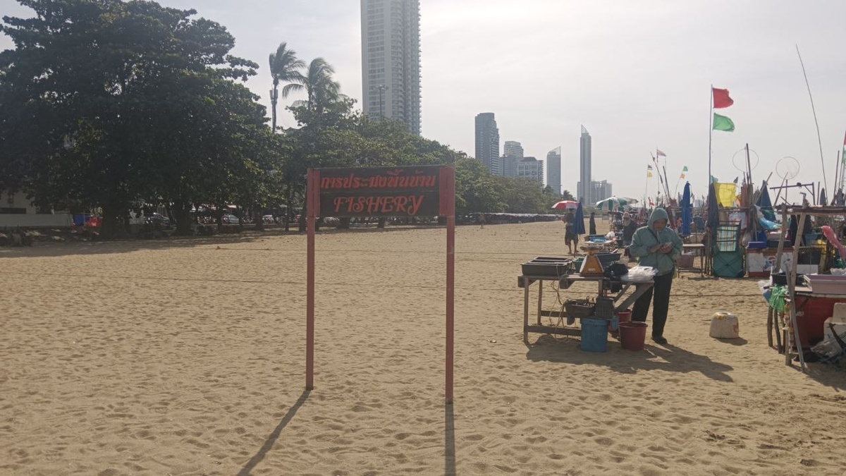 Возле лодок стоят столики со свежей рыбой и крабами