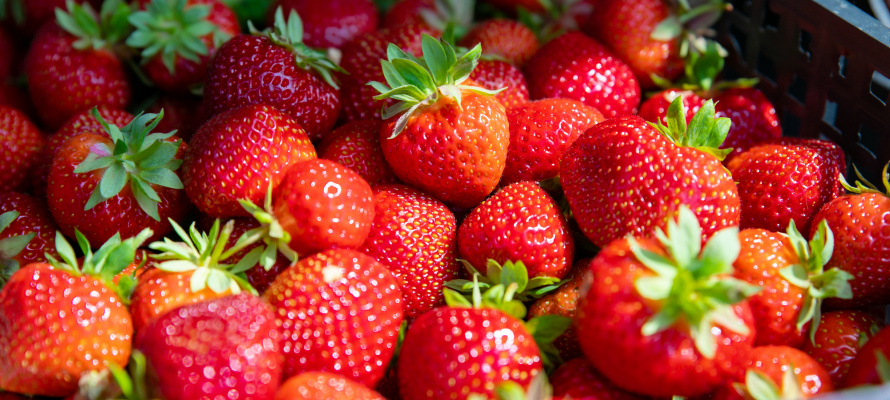    фото: © Людмила Корвякова