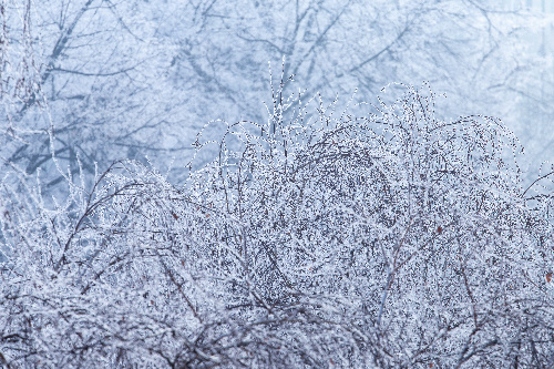    Фото: freepik. com / wirestock