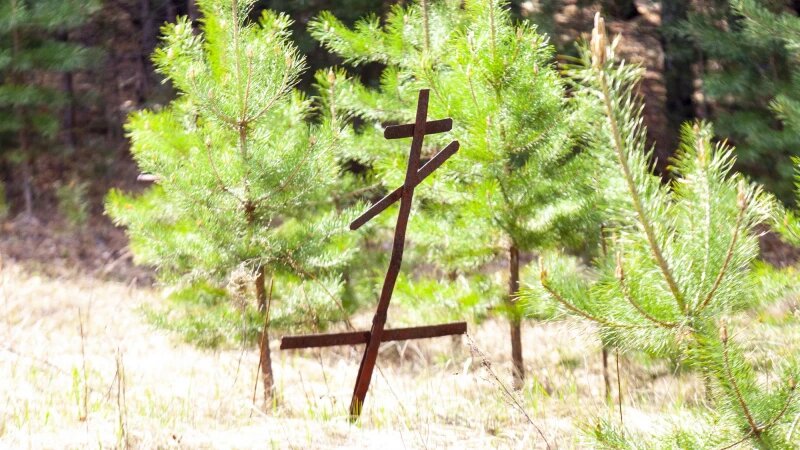     Булыгинское кладбище. Анна Зайкова