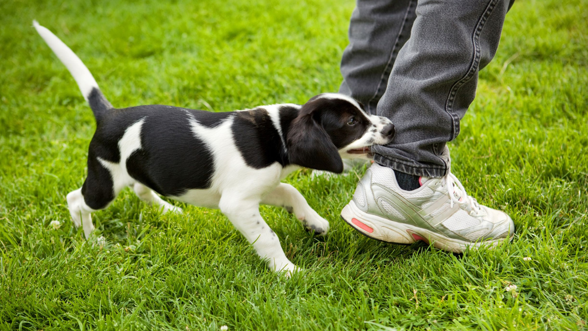 Выражайте свое отношение понятной интонацией, замените ненужную игру другой, но интересной, и проблема уйдёт. Фото sdominick/iStock