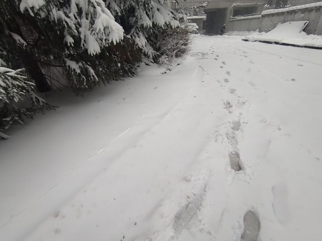    Фото: В курсе.ру Ульяна Бажанова