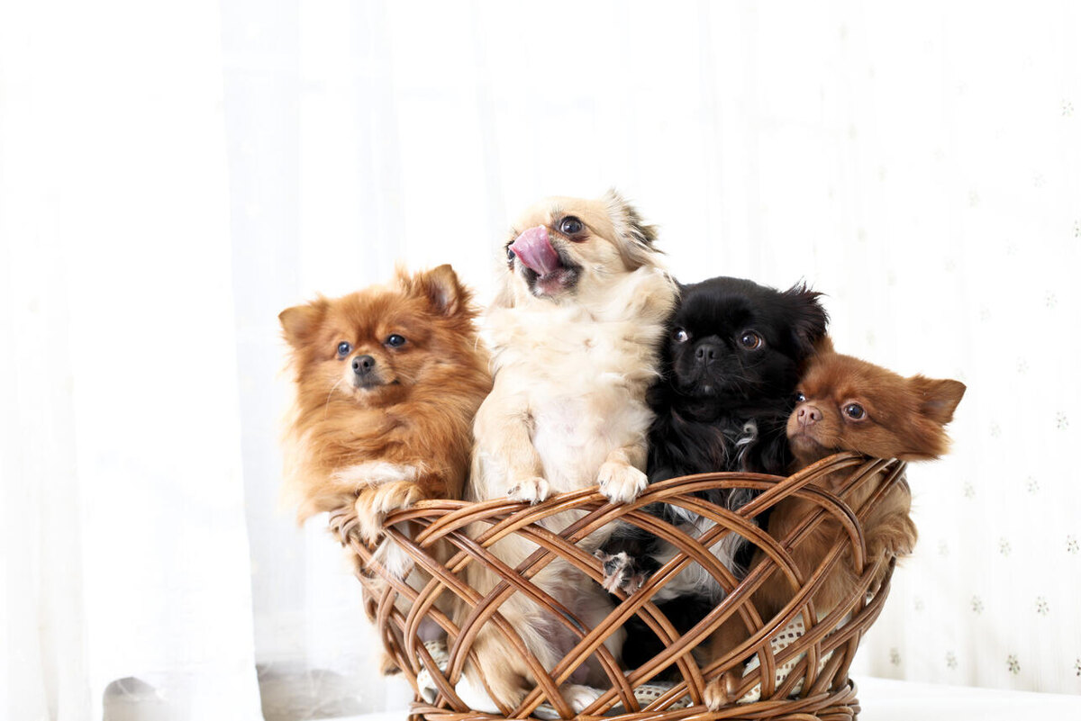     123RF/legion-media.ru