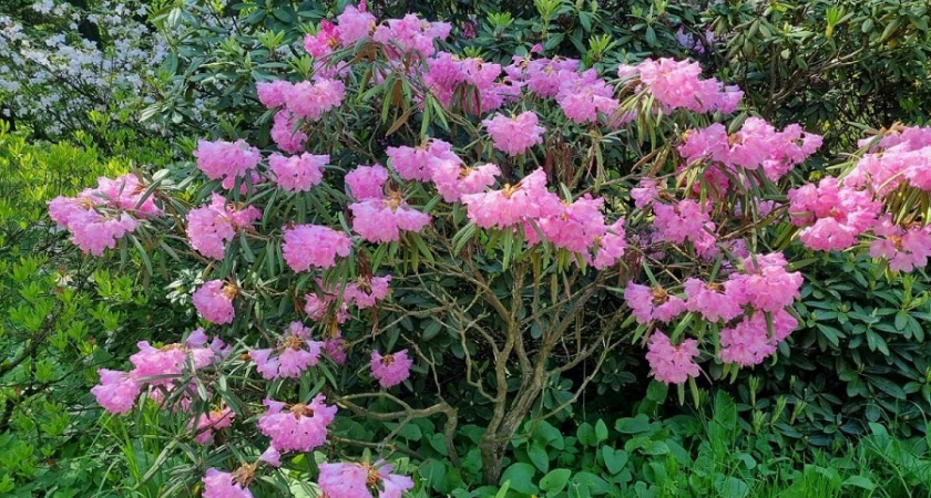    Фото Анастасии Дмитриевой