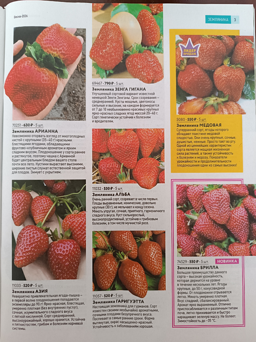 Страничка с клубникой, одна из