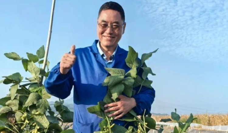    Фото: Li Shengfu