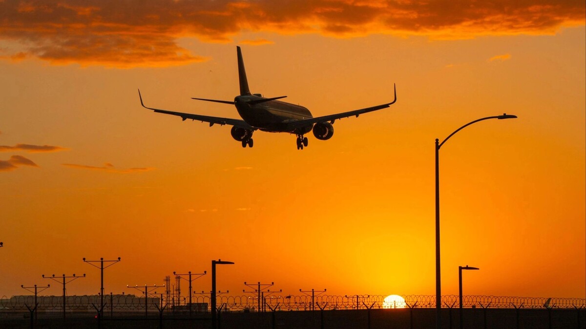    Фото: JohnNilsson/Shutterstock/Fotodom