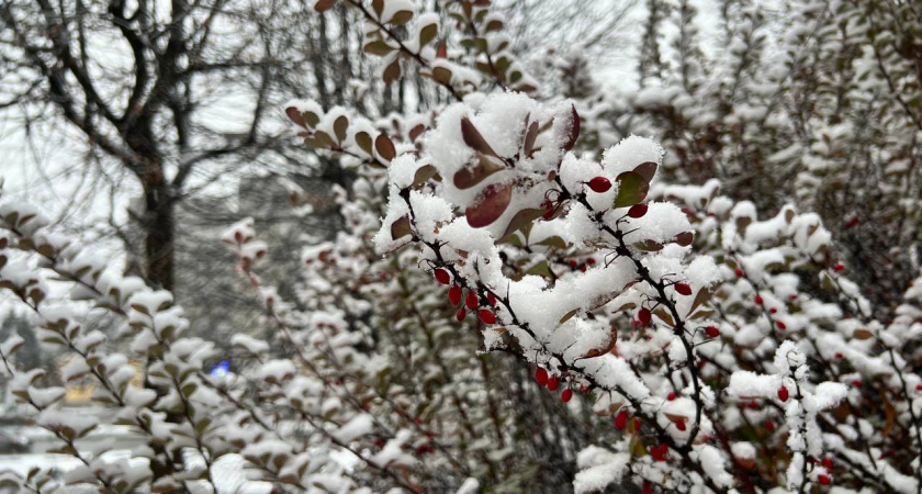    Первый городской канал Калининград