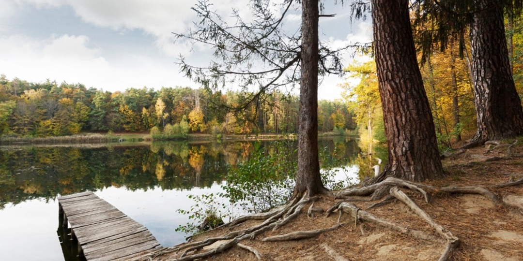 В Карелии бизнесмен захватил берег озера и поставил забор