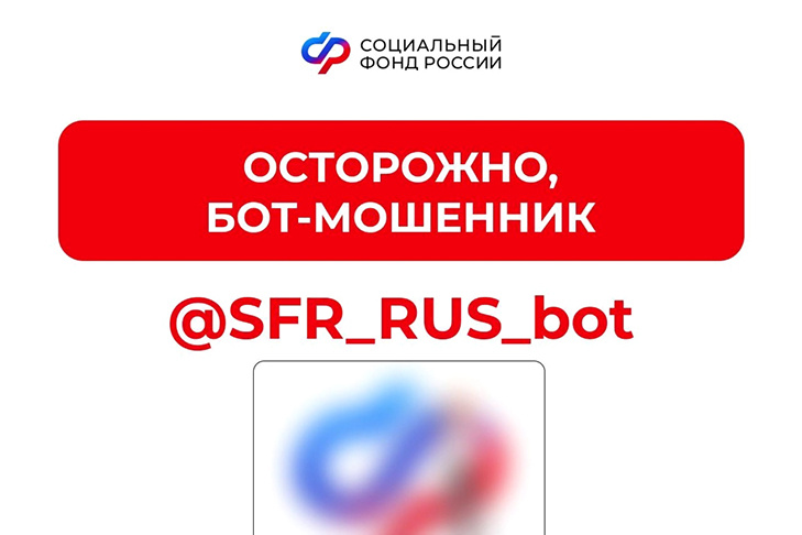    Фото: vk.com/sfr.novosibirskayaoblast