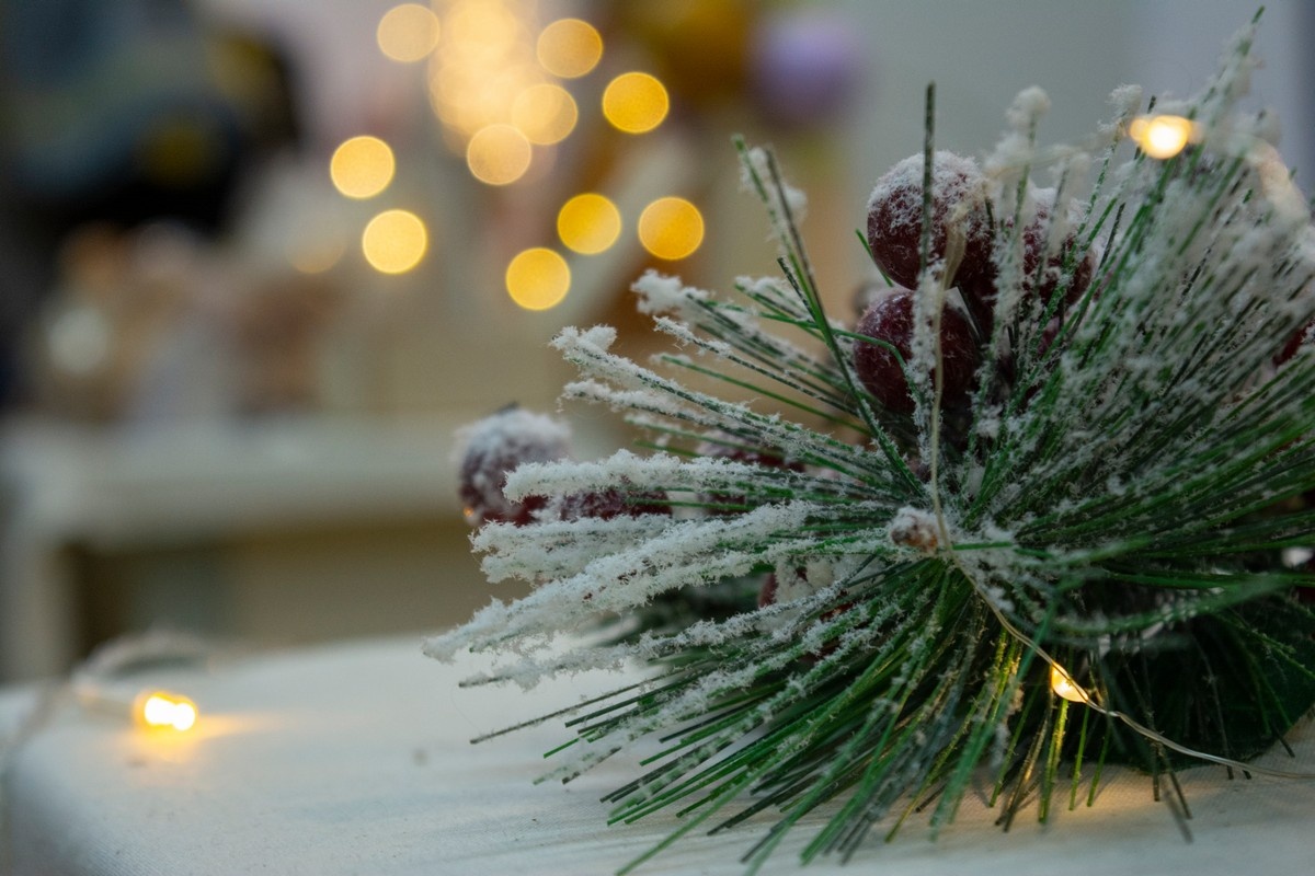    фото: © Столица на Онего