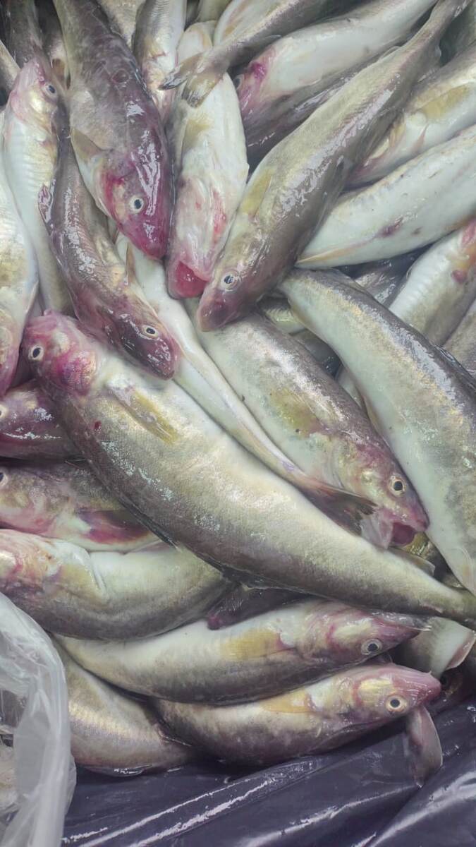 Цена 320 рублей за кг.