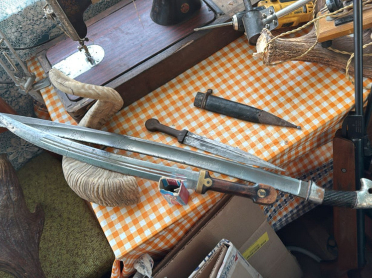     Источник: Штаб ОМВД России «Тамбовский»