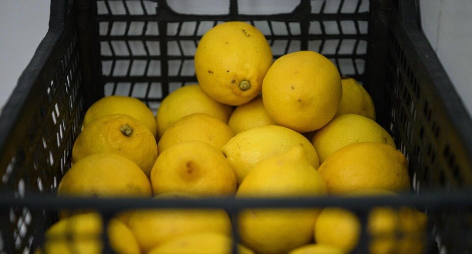    Ilya Moskovets/URA.RU / www.globallookpress.com