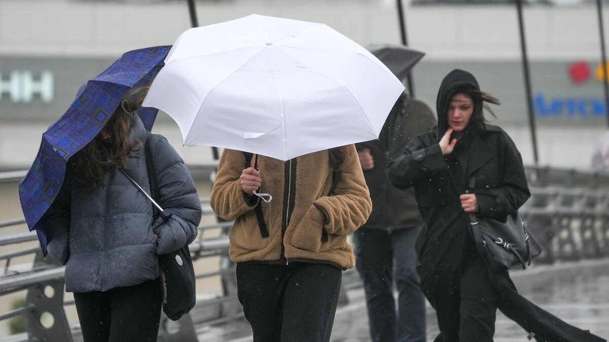    Фото: ИЗВЕСТИЯ/Дмитрий Коротаев