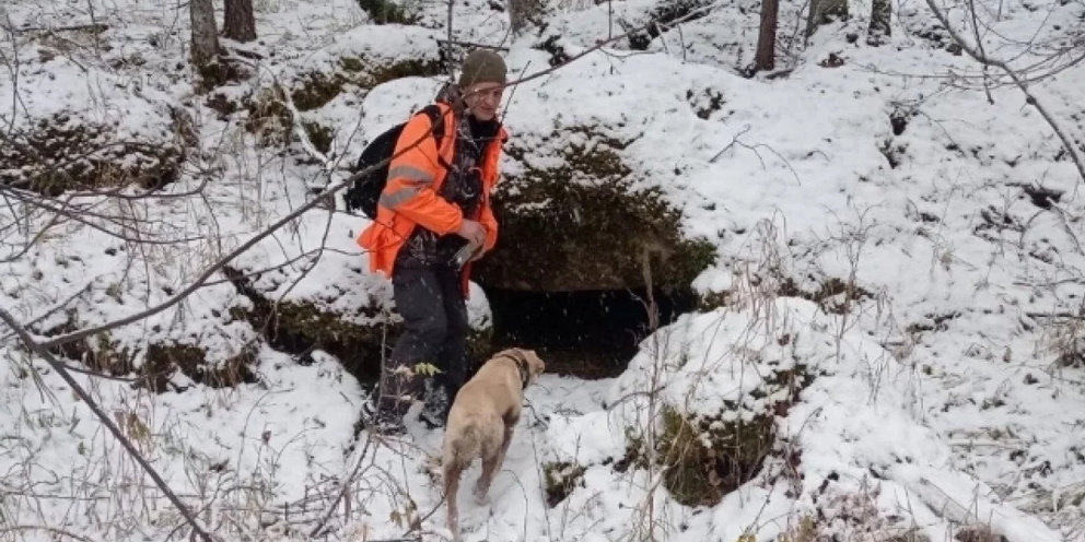 Поиски Усольцевых в тайге.  фото: яндекс.