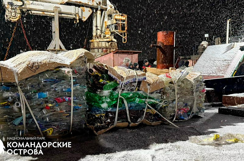 НП "Командорские острова"