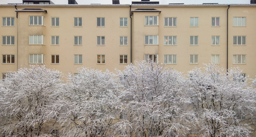    фото freepik.com