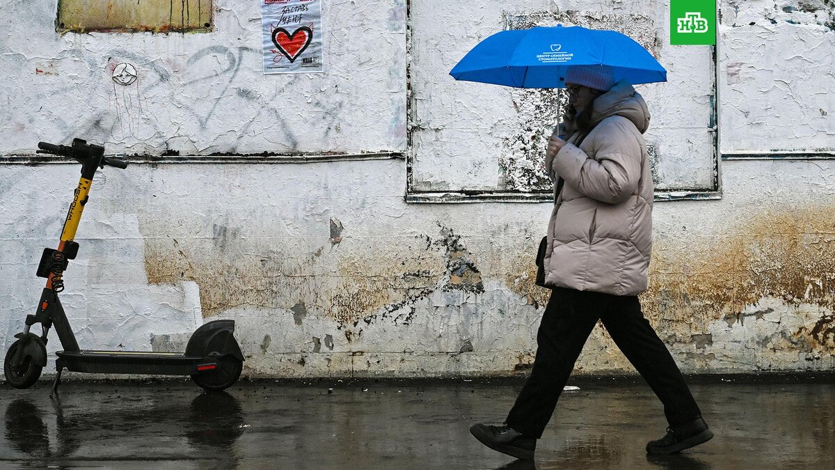    Фото: РИА Новости © 2025, Юрий Кочетков