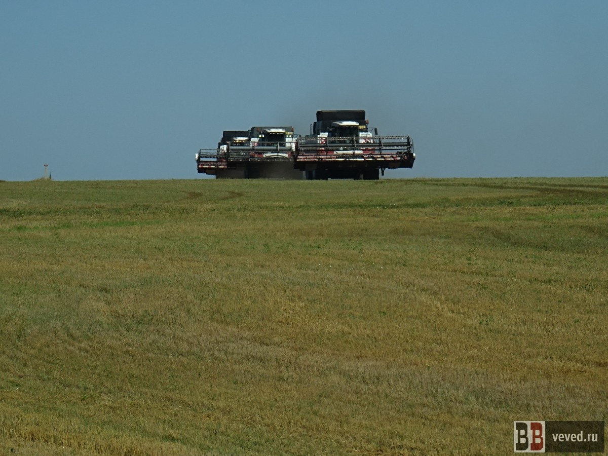     Фото: Владислав Постников / Вечерние ведомости