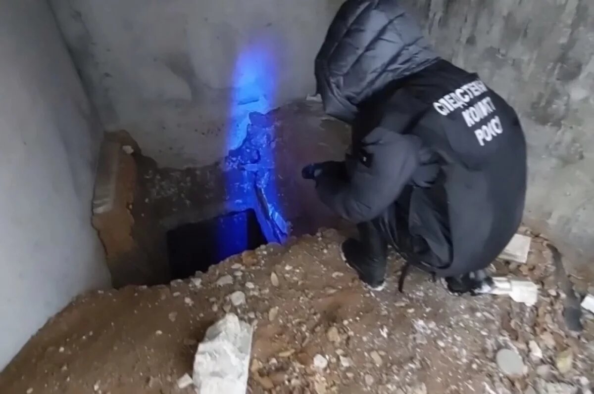    В Самарской области будут судить похитителей и душителя