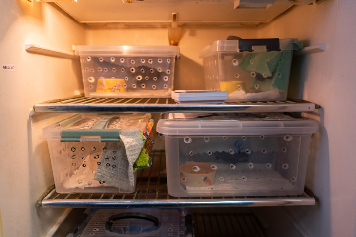 © Фото Фонда имени Р. А. Шило.📷
