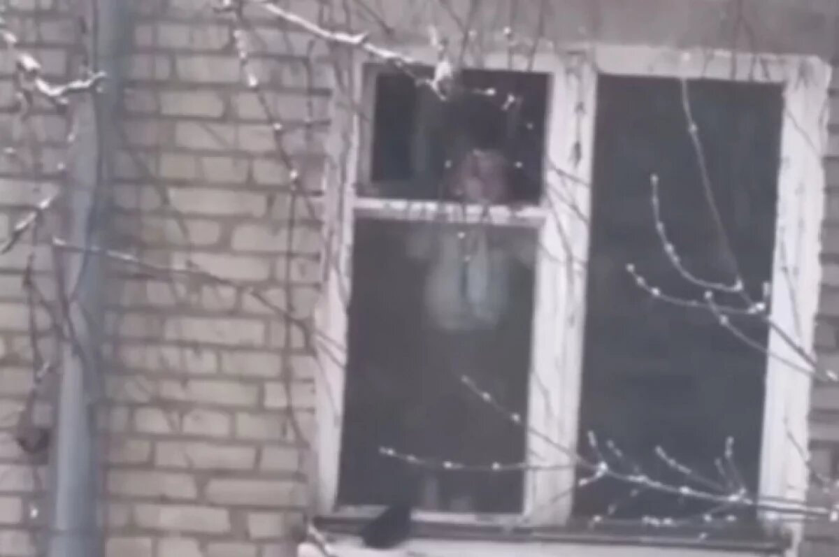    Ребенок в окне многоэтажного дома напугал жителей Новосибирска