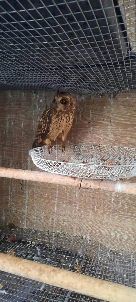    Фото: Telegram-канал «МВД 24»