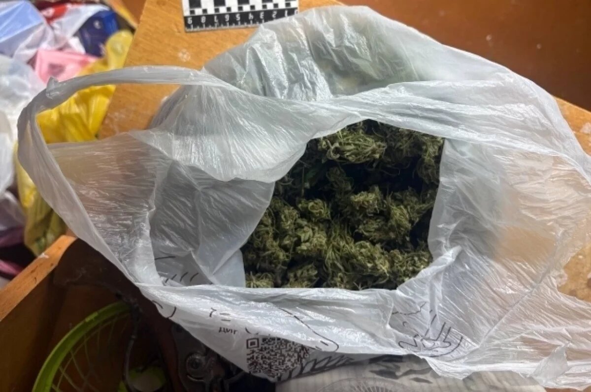    Рецидивист из Удмуртии оборудовал дома лабораторию по выращиванию конопли