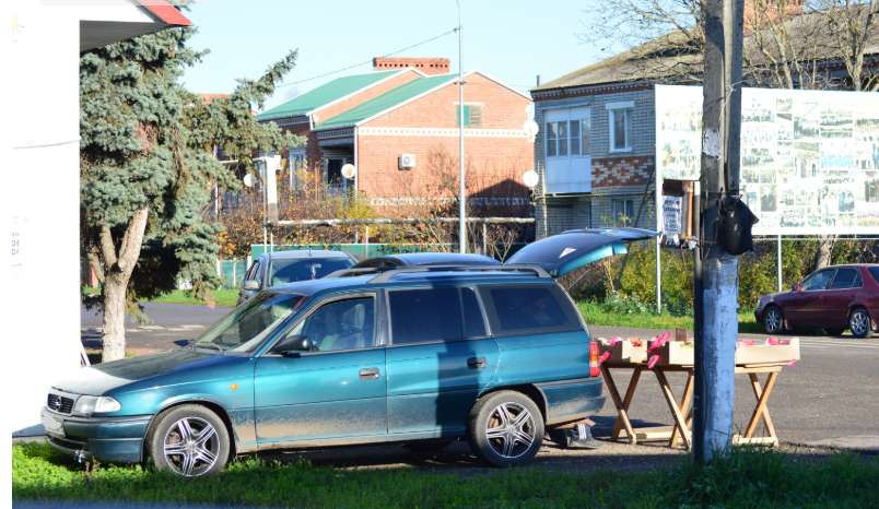 Фото автора. 27.11.2025. Станица.