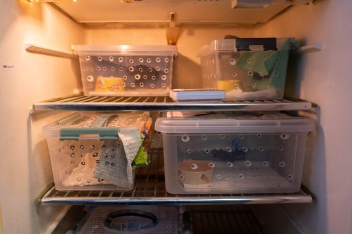 Фото пресс-службы Новосибирского зоопарка