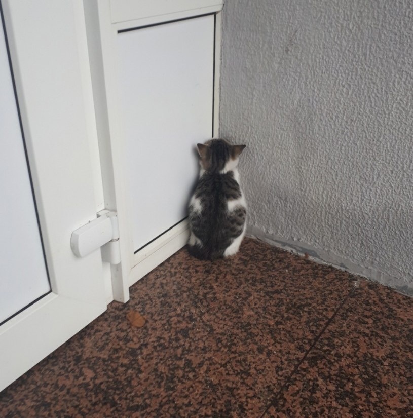 fotostrana: И этот что-то в углу изучает