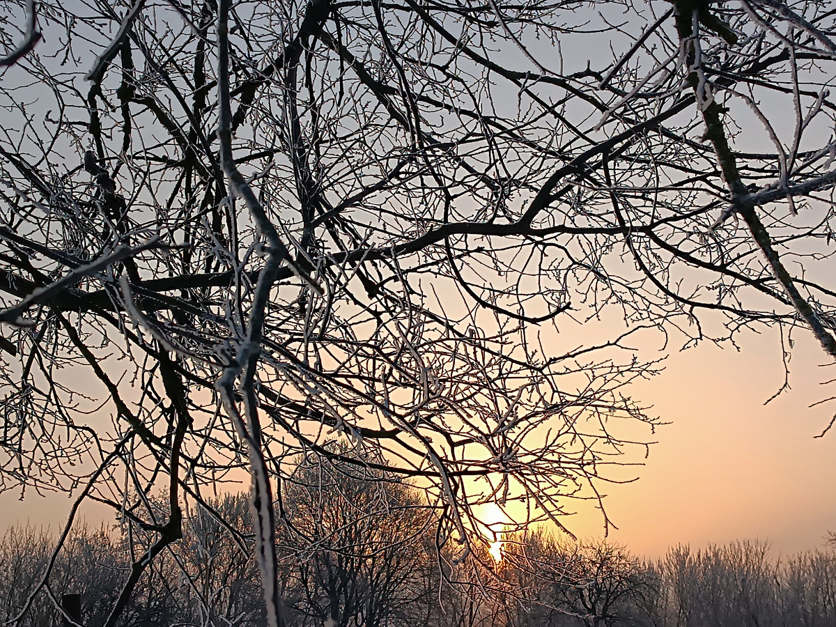 Морозное январское утро