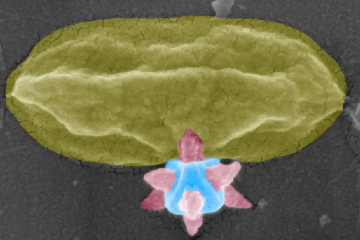    Фото: Университет Чалмерса