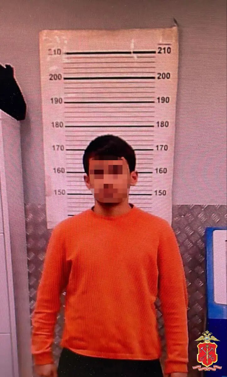    Фото: ГУ МВД по Петербургу и Ленобласти