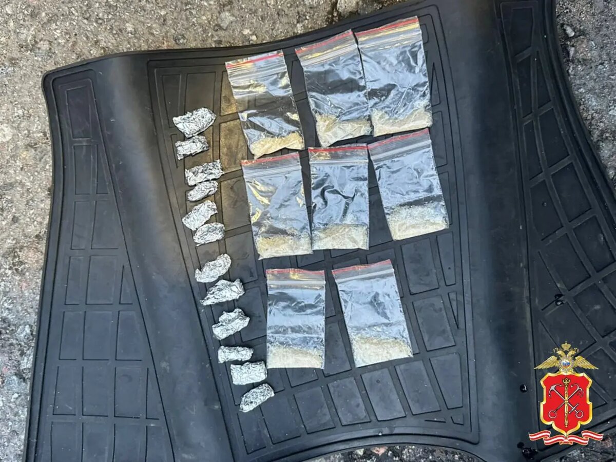    Фото: ГУ МВД по Петербургу и Ленобласти