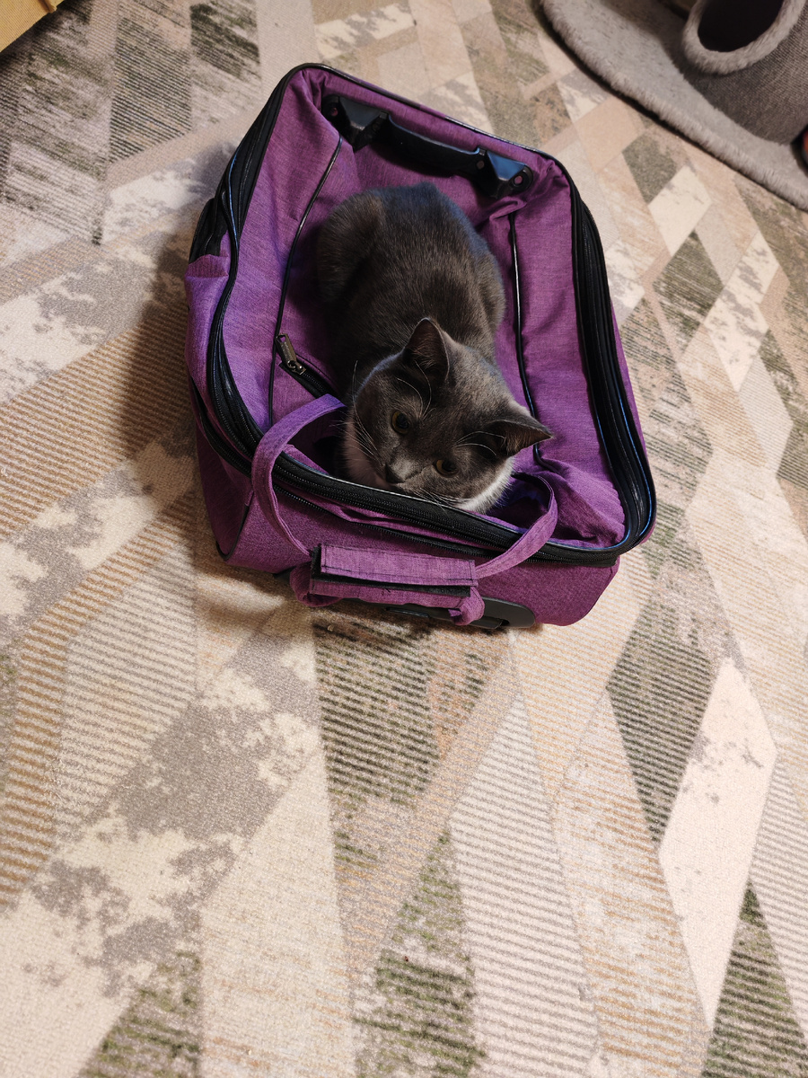 Будьте счастливы! 