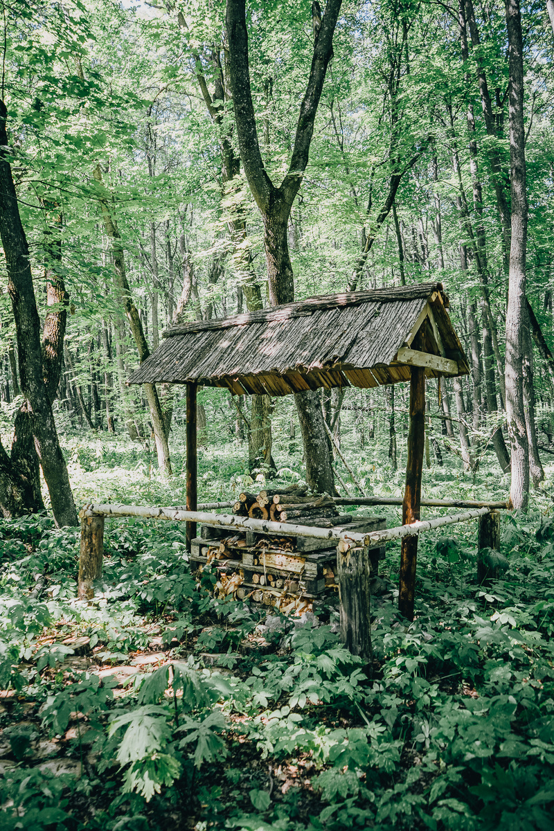  эко тропа "Таллы". 1 остановка "Инсектарий". Фото К. Файзуллин