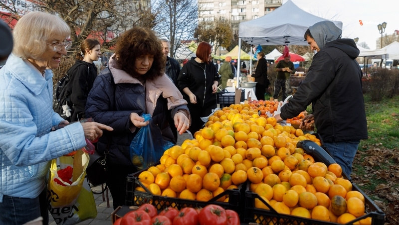      Фото: Дмитрий Ахмадуллин / / ИА «Победа26»